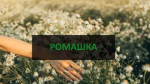 Лечение языка дома 12 домашних средств от болезней языка и полости рта