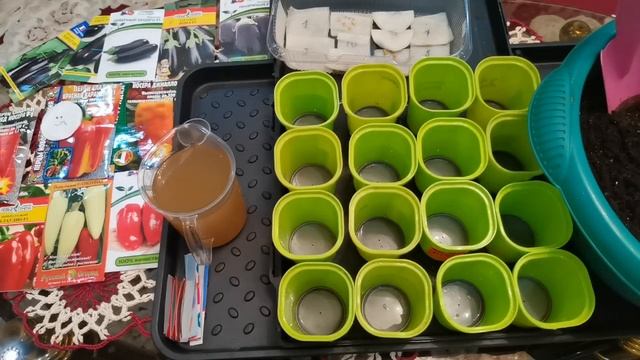 Посев перца и баклажанов на рассаду в 2021году. смотреть онлайн