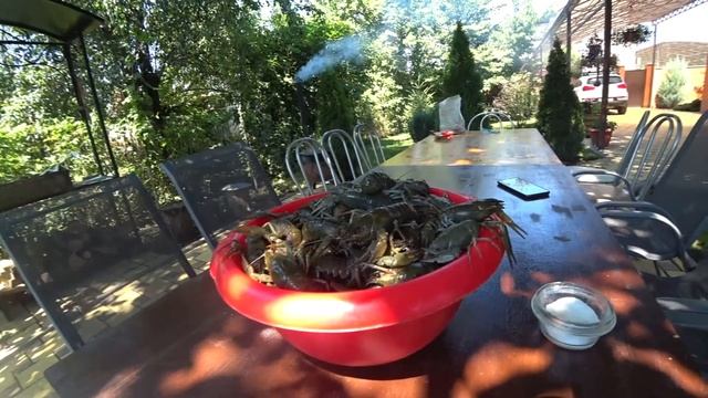 ? РАКИ В КАЗАНЕ НА КОСТРЕ! КУБАНСКИЙ РЕЦЕПТ! просто и вкусно-))) смотреть онлайн