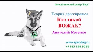 Кто такой ВОЖАК? Кинологический центр Барс.