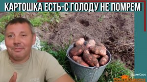 Деревенские будни: выкопали картошку, собрали урожай. "Мое Подворье"