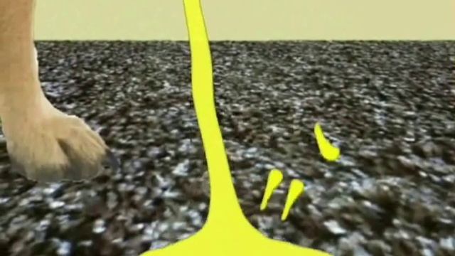 How to remove dog urine out of carpet. смотреть онлайн