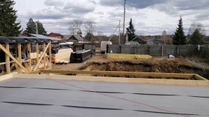 Половые лаги