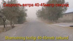 Погода в Бухаре. Ob-havo Buxaroda kuchli shamol turdi.