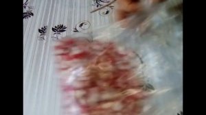 Так я сохраняю редис на зиму.