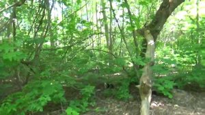 Эпикур, эпикурейцы и наслаждение/Просто о сложном