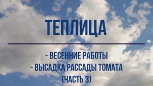 Теплица. Весенние работы, высадка томата, май 2022 (часть 3)