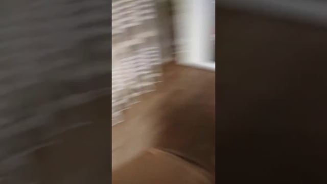 ANGRY BIRDS EPIC Эпизод 25 Ред держись!!!+ Новый друг смотреть онлайн