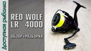 Бюджетная копия катушек DAIWA LT c АлиЭкспресс?  Катушка для спиннинга и фидера | RED WOLF LR 2020