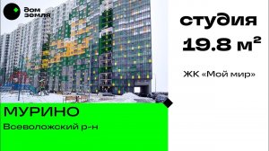 Студия 19.8 м², Мурино, ЖК Мой Мир