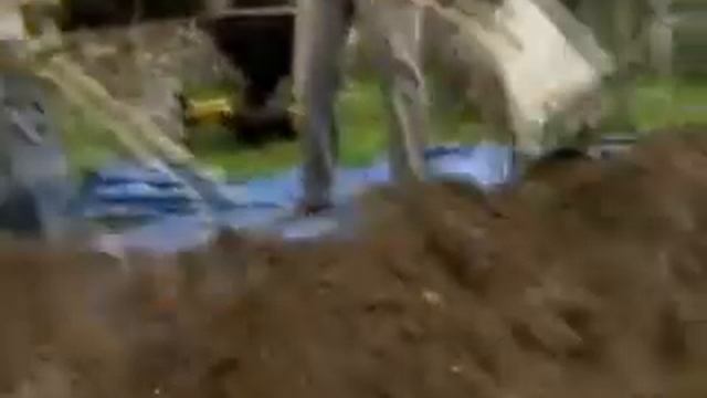 Как сделать живую изгородь на садовом участке смотреть онлайн