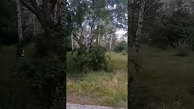 Карточка видео