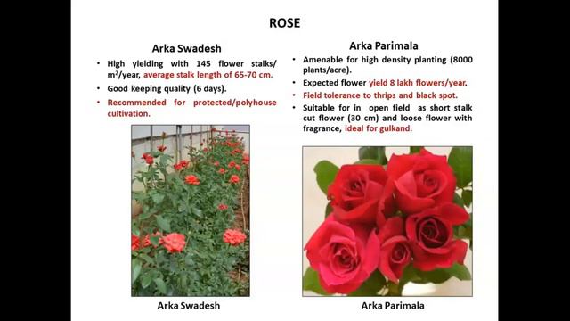 Agricultural Technology for Marketing | Kisan Mitr Webinar Series смотреть онлайн