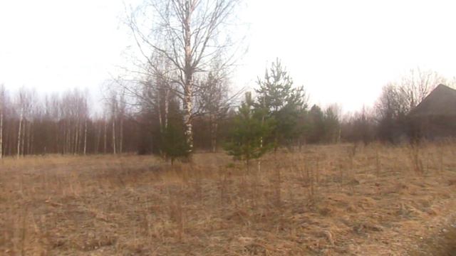 Экскурсия по нашей деревне. Часть 1/ЖЗЛ 52.Дом в деревне