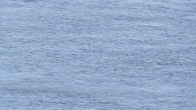 Большие крохали смотреть онлайн