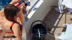 Ялта рыбалка на море с яхты у Ласточкиного гнезда  Пикша, ставрида  Крым морские прогулки, рыбалка