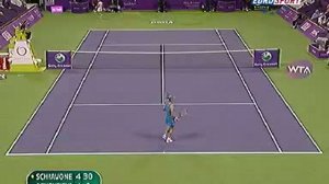 Теннис - Итоговый турнир WTA : Елена Дементьева - Франческа Скьявоне