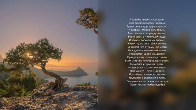 И на скалах растут деревья. смотреть онлайн