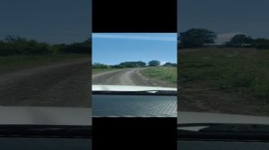 Дорога на Чёртов палец. Горный АЛТАЙ