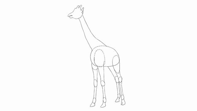 How To Draw A Giraffe/Как нарисовать Жирафа