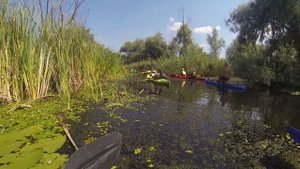 Mike Oldfield - Top of The Morning