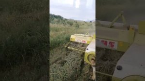 пресса подборщик класс маргант 55