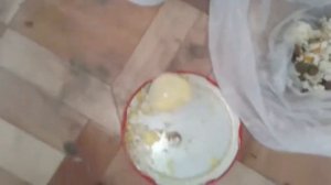 Спасение птенца сойки День 2 Коты не съели Чем кормлю птичку