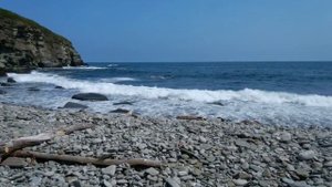 Остров Русский,бухта Шмидт.