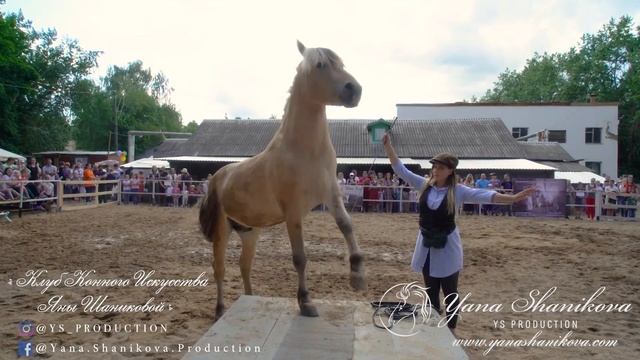 Открытие "Клуба Конного Искусства Яны Шаниковой" в 2019 году смотреть онлайн