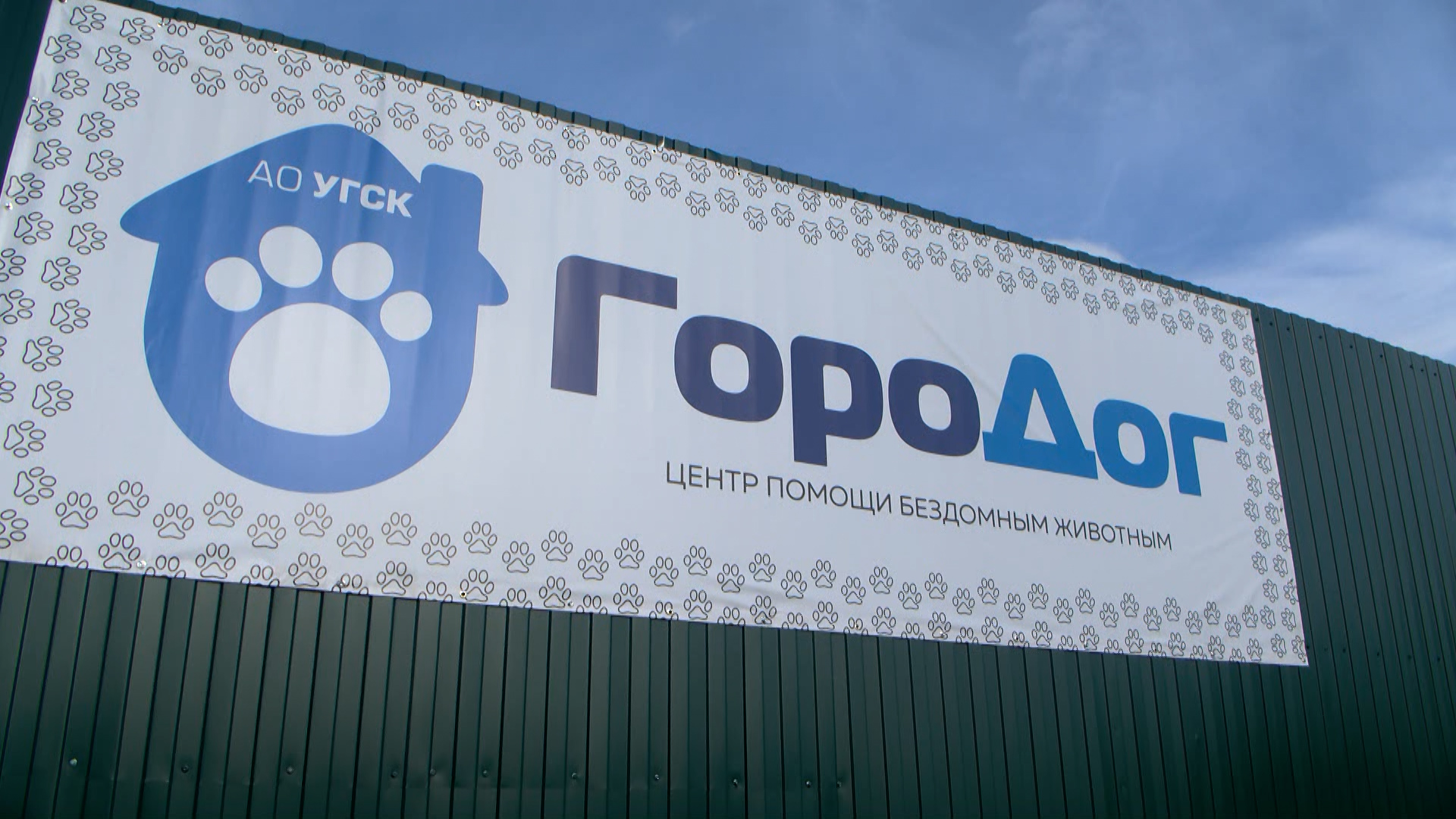 Муниципальный приют для животных готов принять четвероногих постояльцев