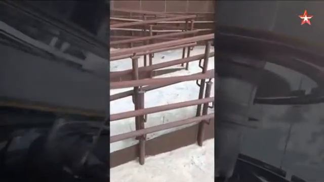 На востоке Москвы от выброса сероводорода массово гибнут птицы смотреть онлайн