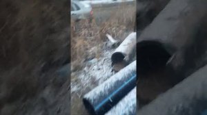 Бардак в муп повв Челябинск