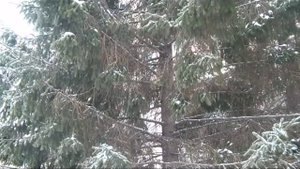 Долгая зима