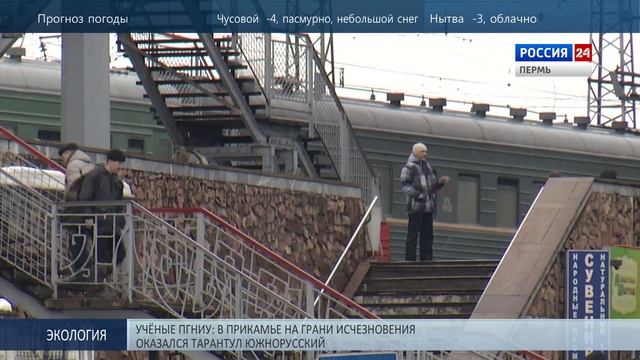 Пермские электрички перейдут на летнее расписание