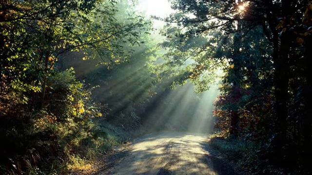 Почему люди не могут найти себя и что с этим делать смотреть онлайн