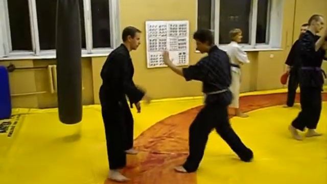 Травма не помеха занятиям Хапкидо.wmv смотреть онлайн