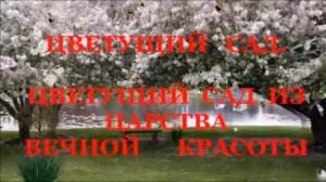 Цветущий Сад. Цветущий Сад из Царства Вечной Красоты