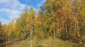 Как жить одной l Как быть одному и не быть одиноким l Научись l