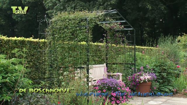 Flora View - Clematis & Thalictrum in de boerderijtuin смотреть онлайн