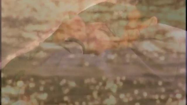 Забери меня, мой Сон смотреть онлайн