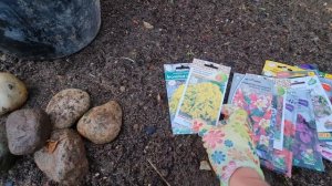 Посейте ЭТИ ЦВЕТЫ ПОД ЗИМУ и весной СКАЖЕТЕ СПАСИБО!