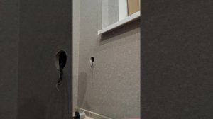 монтаж подрозетника и розетки в гипсокартонную стену