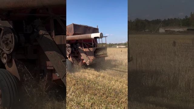 ГАЗУЕМ на УБОРОЧНУЮ ? СельхозПарк ?