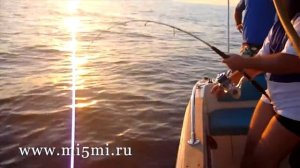 Морская рыбалка в Алании, Анталии. Турция