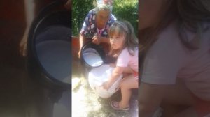 Стоило дойка коровы