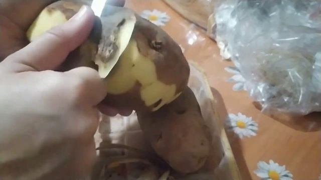 Как сохранился крупный картофель)))