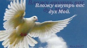 Как избавиться от сущности в теле