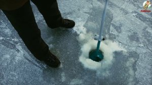 Как наловить много карася в январе?Где искать Карася в январе? На что ловить карася в январе?