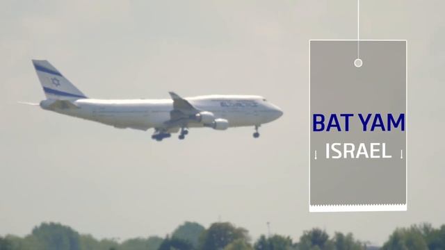 SAMBO PLACE - САМБО МЕСТО смотреть онлайн