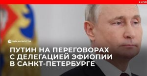 Путин на переговорах с делегацией Эфиопии в Санкт-Петербурге